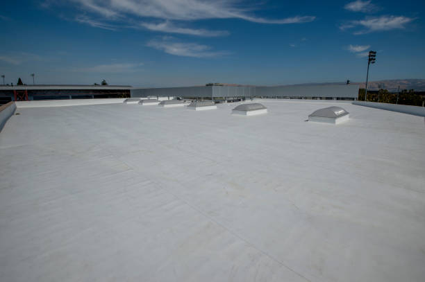 Best Storm Damage Roof Repair  in Waterville, MN