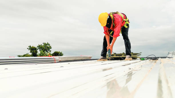 Asphalt Shingles Roofing in Waterville, MN