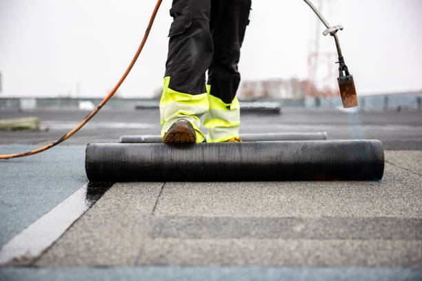 Best Solar Panel Roofing Installation  in Waterville, MN